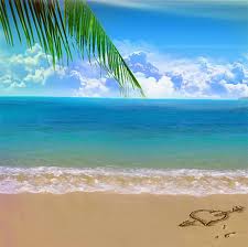 ເວທີປາໄສເຄື່ອງໝາຍການຄ້າທະເລ ຫວຽດນາມ ຄັ້ງທີ 4